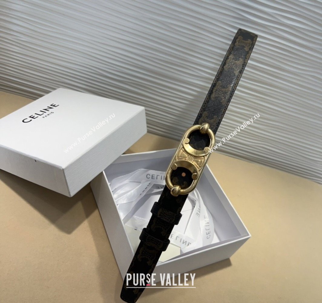 Celine Canvas Belt 2.5cm with Metal-Tone Triomphe Buckle Brown 2025 0317 (99-250317014)