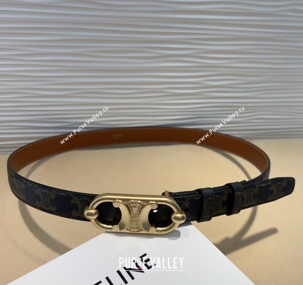 Celine Canvas Belt 2.5cm with Metal-Tone Triomphe Buckle Brown 2025 0317 (99-250317014)