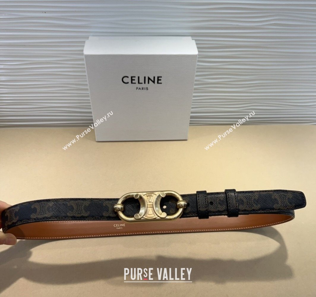 Celine Canvas Belt 2.5cm with Metal-Tone Triomphe Buckle Brown 2025 0317 (99-250317014)