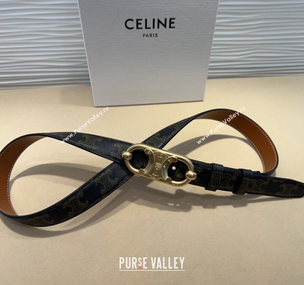 Celine Canvas Belt 2.5cm with Metal-Tone Triomphe Buckle Brown 2025 0317 (99-250317014)