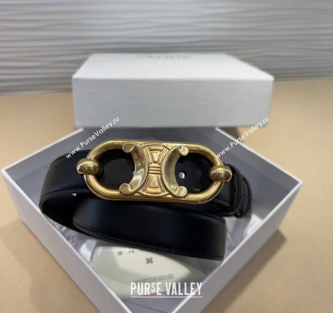 Celine Calfskin Belt 2.5cm with Metal-Tone Triomphe Buckle Black2 2025 0317 (99-250317016)