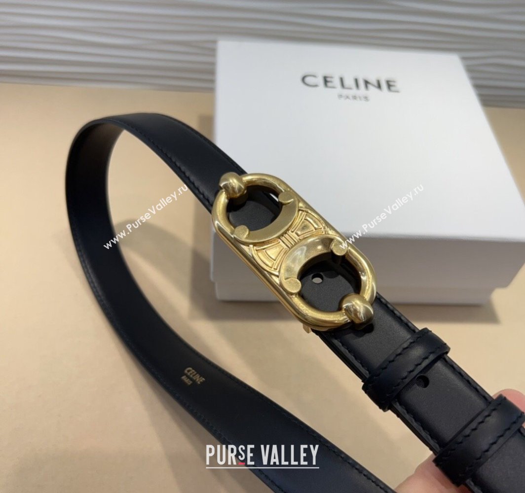 Celine Calfskin Belt 2.5cm with Metal-Tone Triomphe Buckle Black2 2025 0317 (99-250317016)