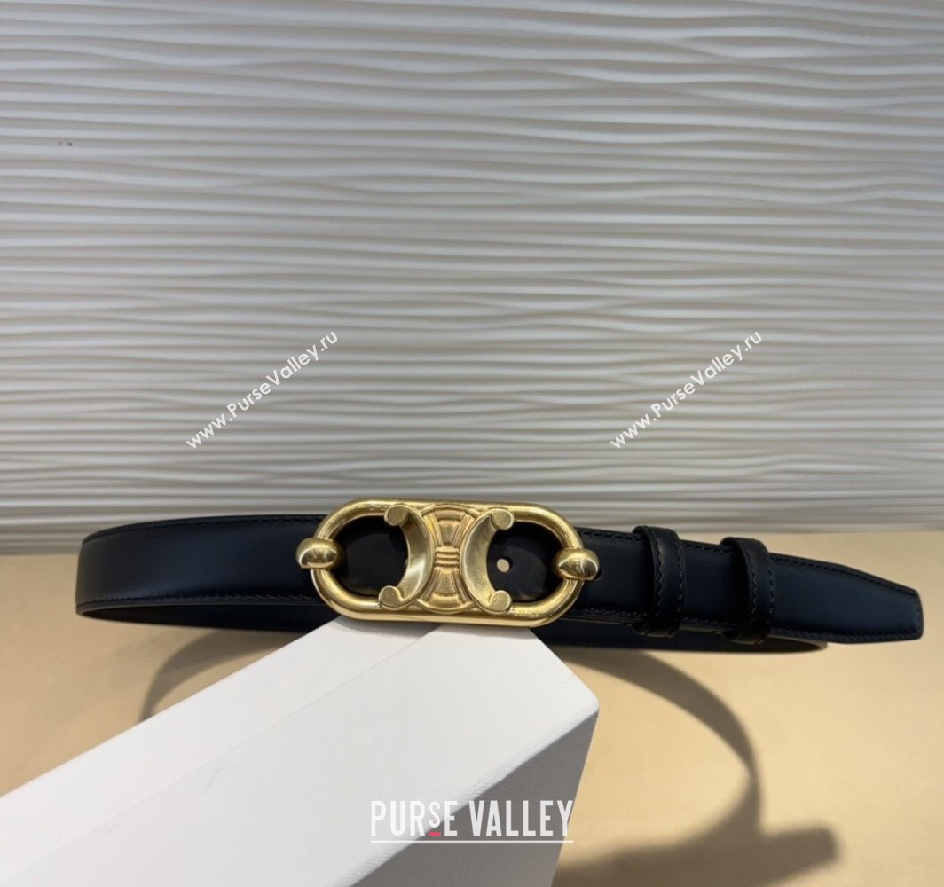Celine Calfskin Belt 2.5cm with Metal-Tone Triomphe Buckle Black2 2025 0317 (99-250317016)