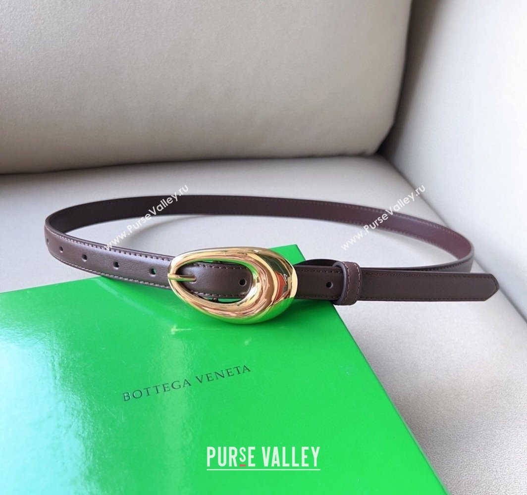 Bottega Veneta Soft Calfskin Belt 2cm with Gold Pin Buckle Dark Brown 2025 0315 (99-250315071)