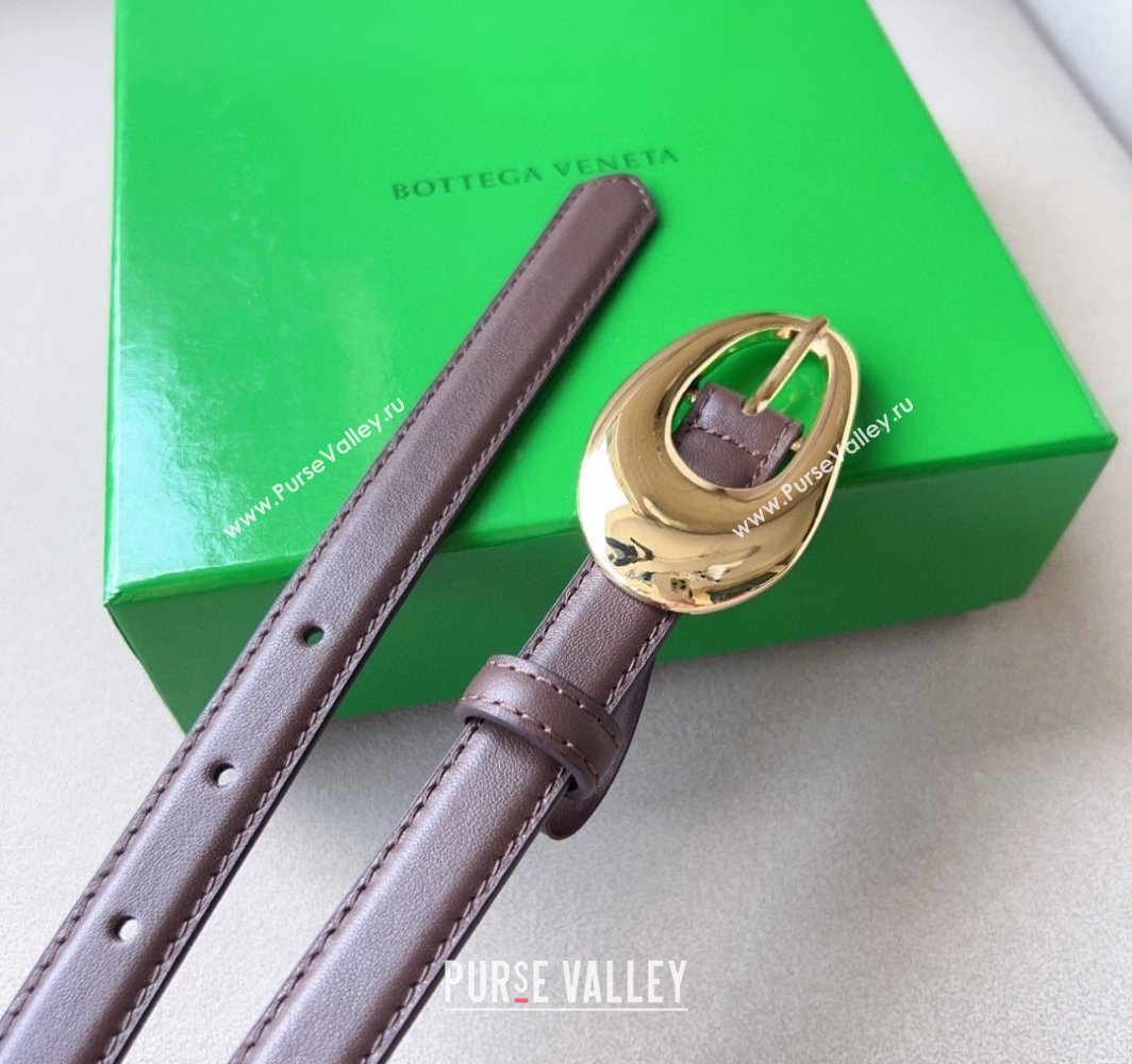 Bottega Veneta Soft Calfskin Belt 2cm with Gold Pin Buckle Dark Brown 2025 0315 (99-250315071)