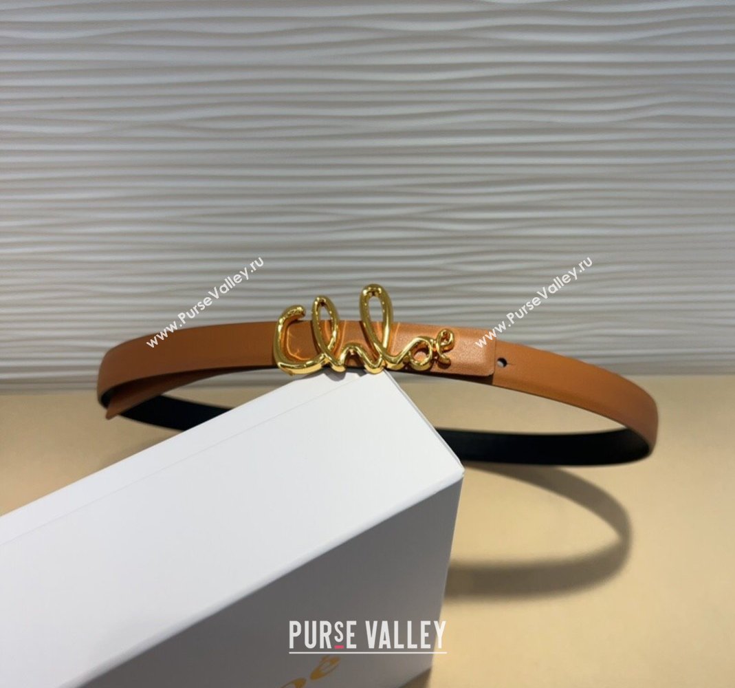 Chloe Iconic Small Belt in Leather with Signature Buckle Brown 2025 (99-250508162)