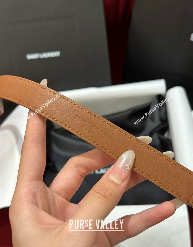 Saint Laurent New Cassandre Belt 2cm in Calf Leather Brown 2025 0617 (99-250617114)