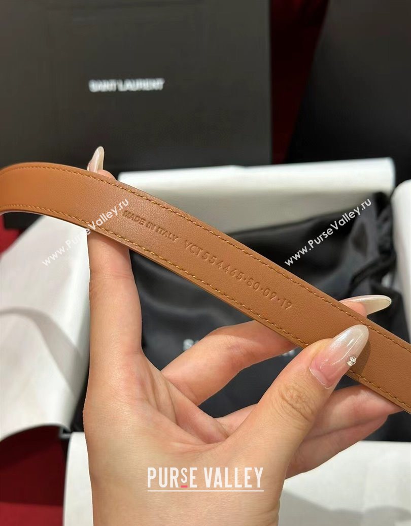 Saint Laurent New Cassandre Belt 2cm in Calf Leather Brown 2025 0617 (99-250617114)