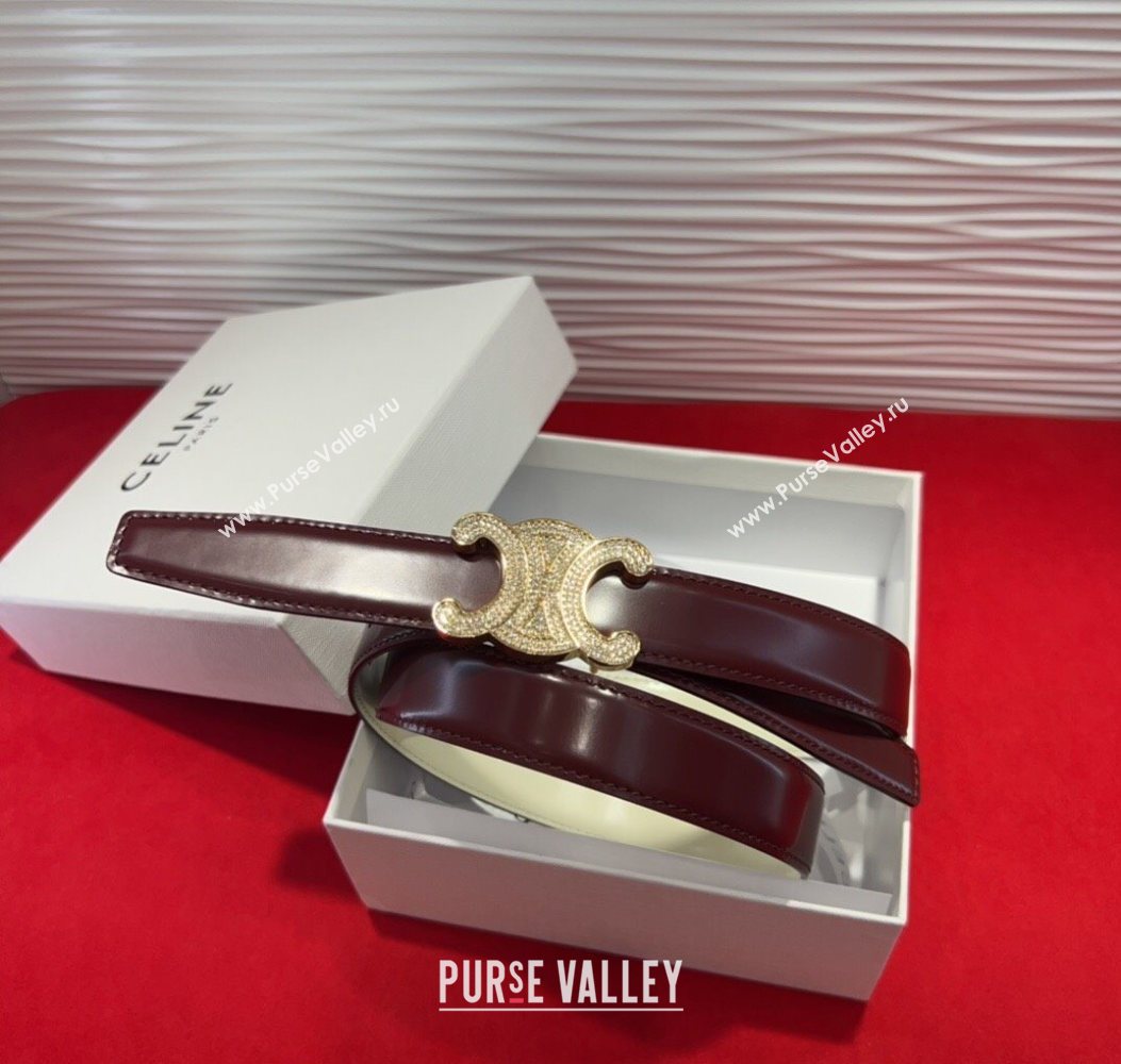 Celine Triomphe Calf Leather Belt 2.5cm with Strass Buckle Dark Brown 2025 CL2013025 (99-250725052)