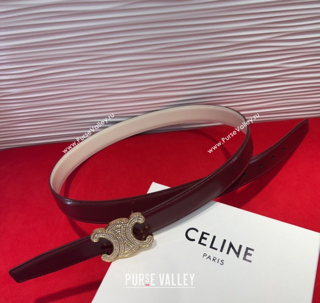 Celine Triomphe Calf Leather Belt 2.5cm with Strass Buckle Dark Brown 2025 CL2013025 (99-250725052)