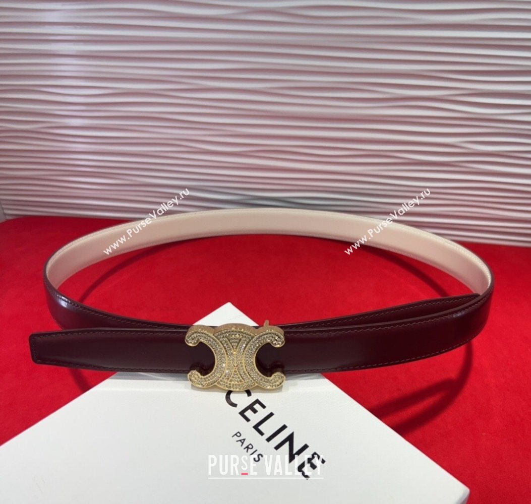 Celine Triomphe Calf Leather Belt 2.5cm with Strass Buckle Dark Brown 2025 CL2013025 (99-250725052)