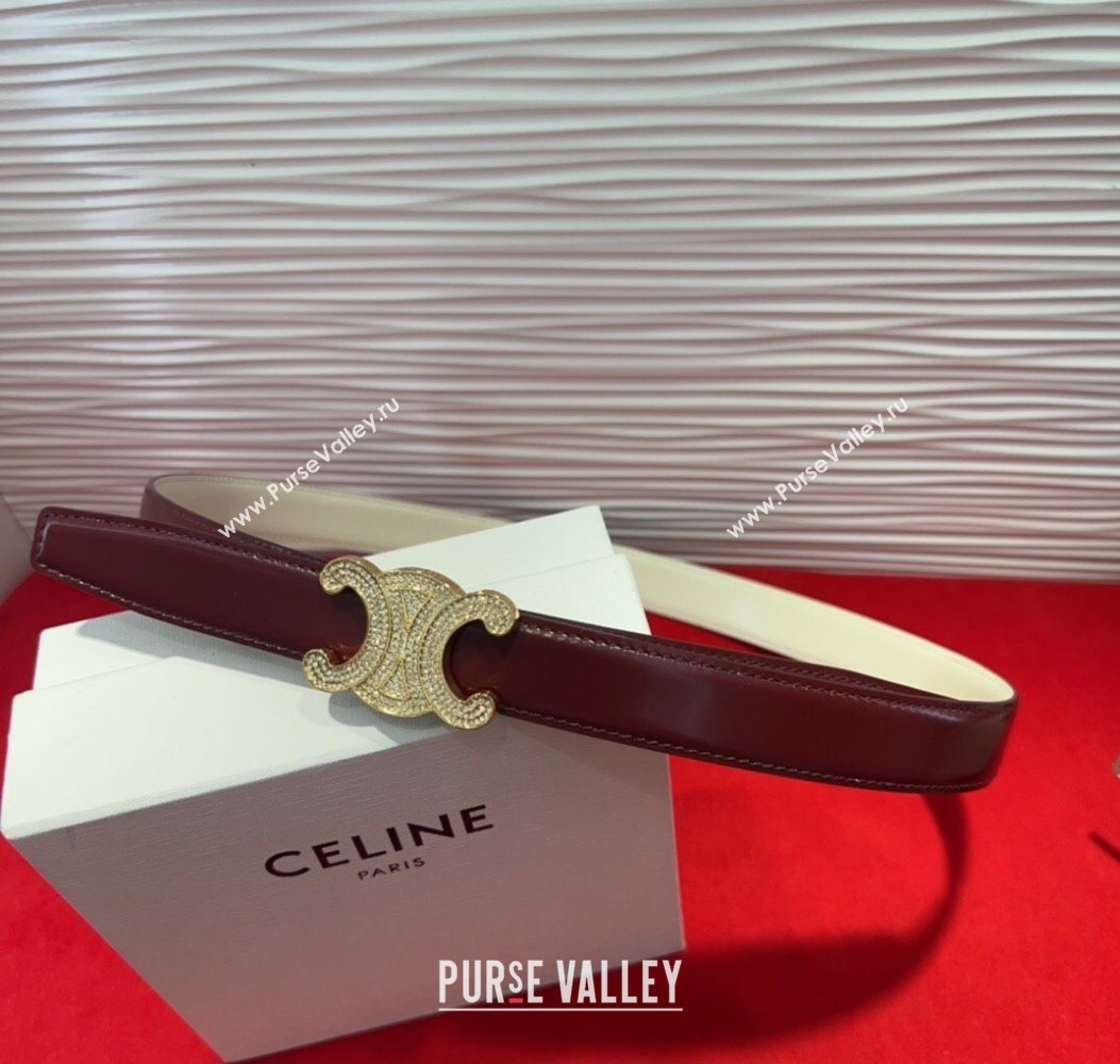 Celine Triomphe Calf Leather Belt 2.5cm with Strass Buckle Dark Brown 2025 CL2013025 (99-250725052)