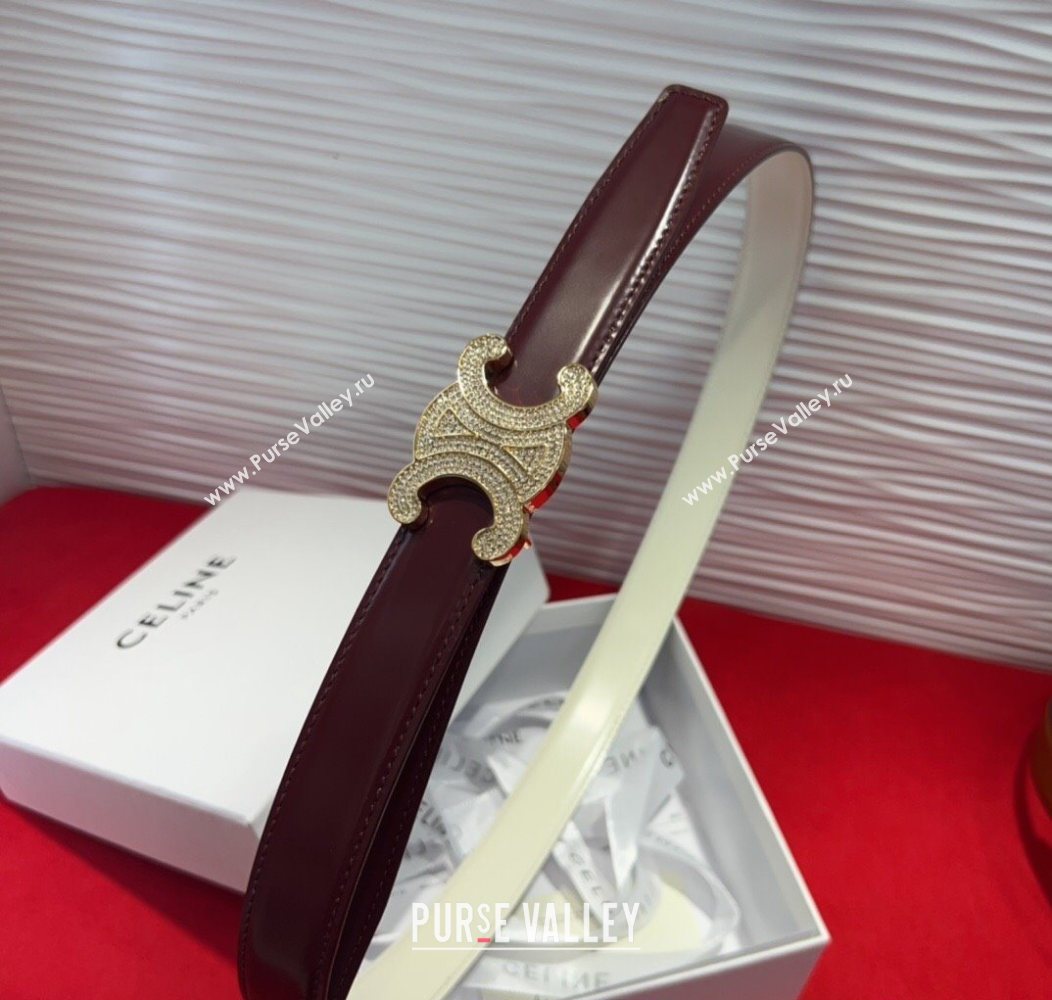 Celine Triomphe Calf Leather Belt 2.5cm with Strass Buckle Dark Brown 2025 CL2013025 (99-250725052)