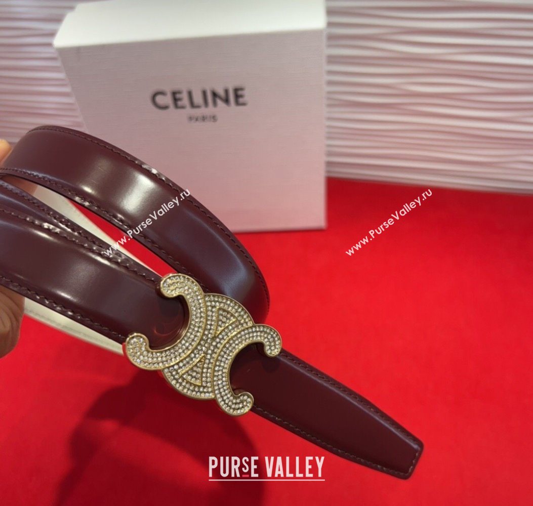 Celine Triomphe Calf Leather Belt 2.5cm with Strass Buckle Dark Brown 2025 CL2013025 (99-250725052)