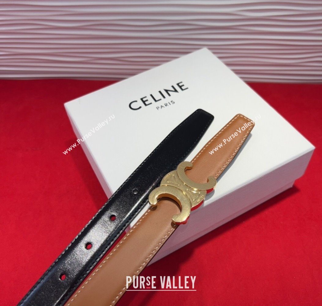 Celine Triomphe Calf Leather Belt 2.5cm with Gold-Tone Buckle Brown 2025 CL2012025 (99-250725055)