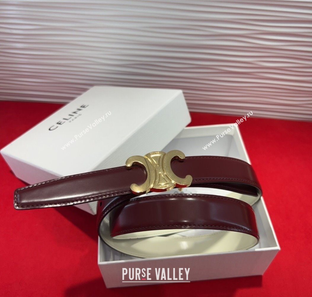 Celine Triomphe Calf Leather Belt 2.5cm with Gold-Tone Buckle Dark Brown 2025 CL2012025 (99-250725058)