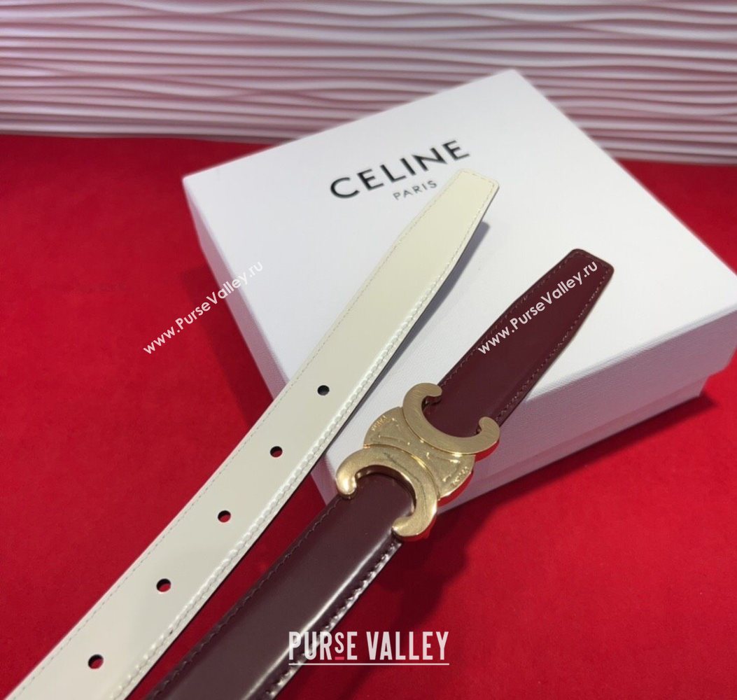 Celine Triomphe Calf Leather Belt 2.5cm with Gold-Tone Buckle Dark Brown 2025 CL2012025 (99-250725058)