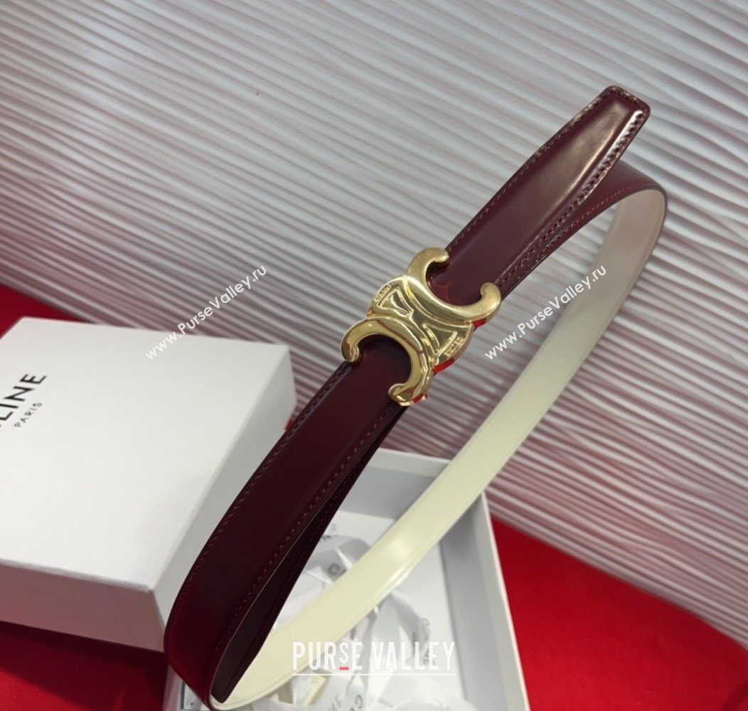 Celine Triomphe Calf Leather Belt 2.5cm with Gold-Tone Buckle Dark Brown 2025 CL2012025 (99-250725058)