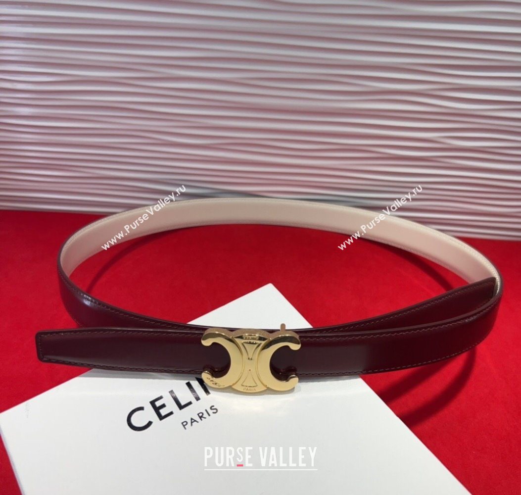 Celine Triomphe Calf Leather Belt 2.5cm with Gold-Tone Buckle Dark Brown 2025 CL2012025 (99-250725058)