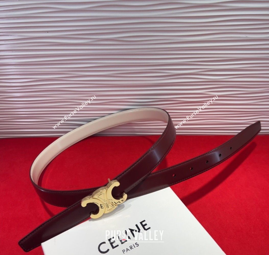 Celine Triomphe Calf Leather Belt 2.5cm with Gold-Tone Buckle Dark Brown 2025 CL2012025 (99-250725058)