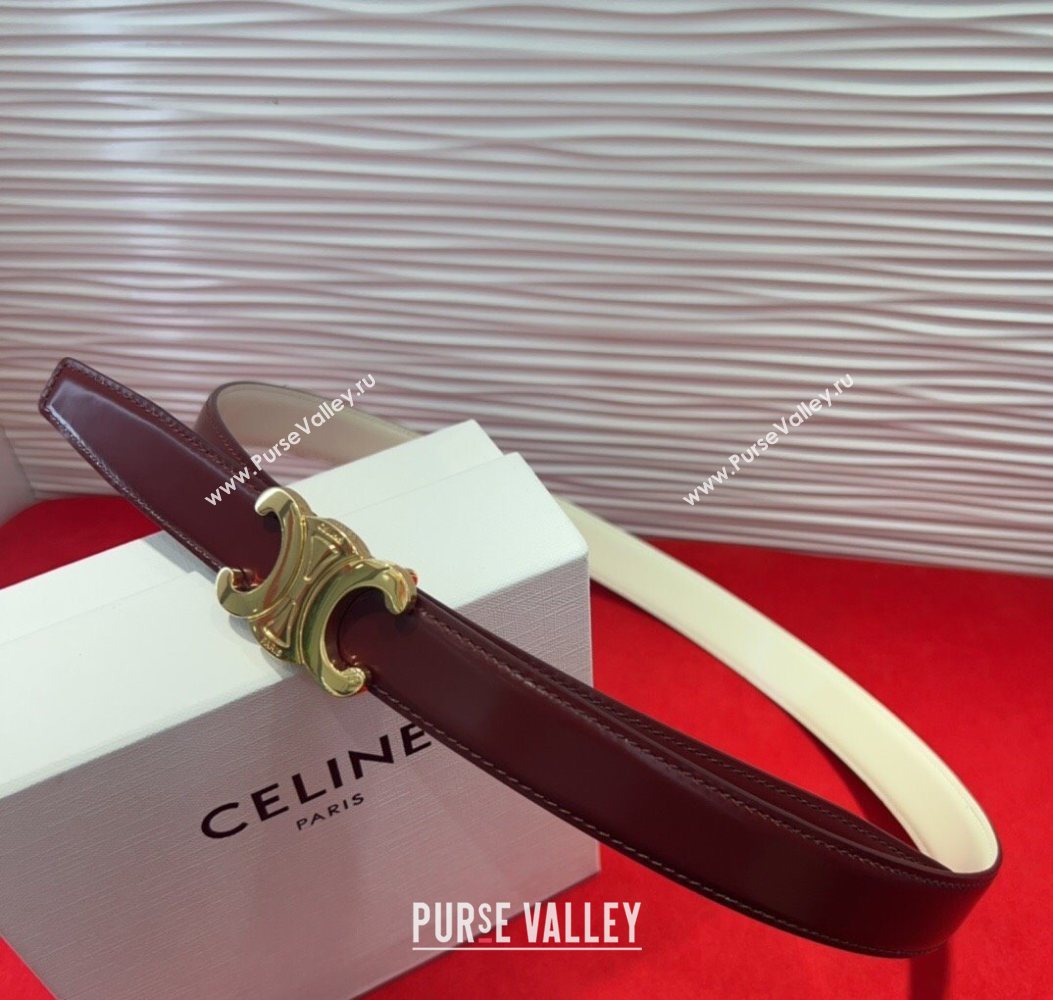Celine Triomphe Calf Leather Belt 2.5cm with Gold-Tone Buckle Dark Brown 2025 CL2012025 (99-250725058)