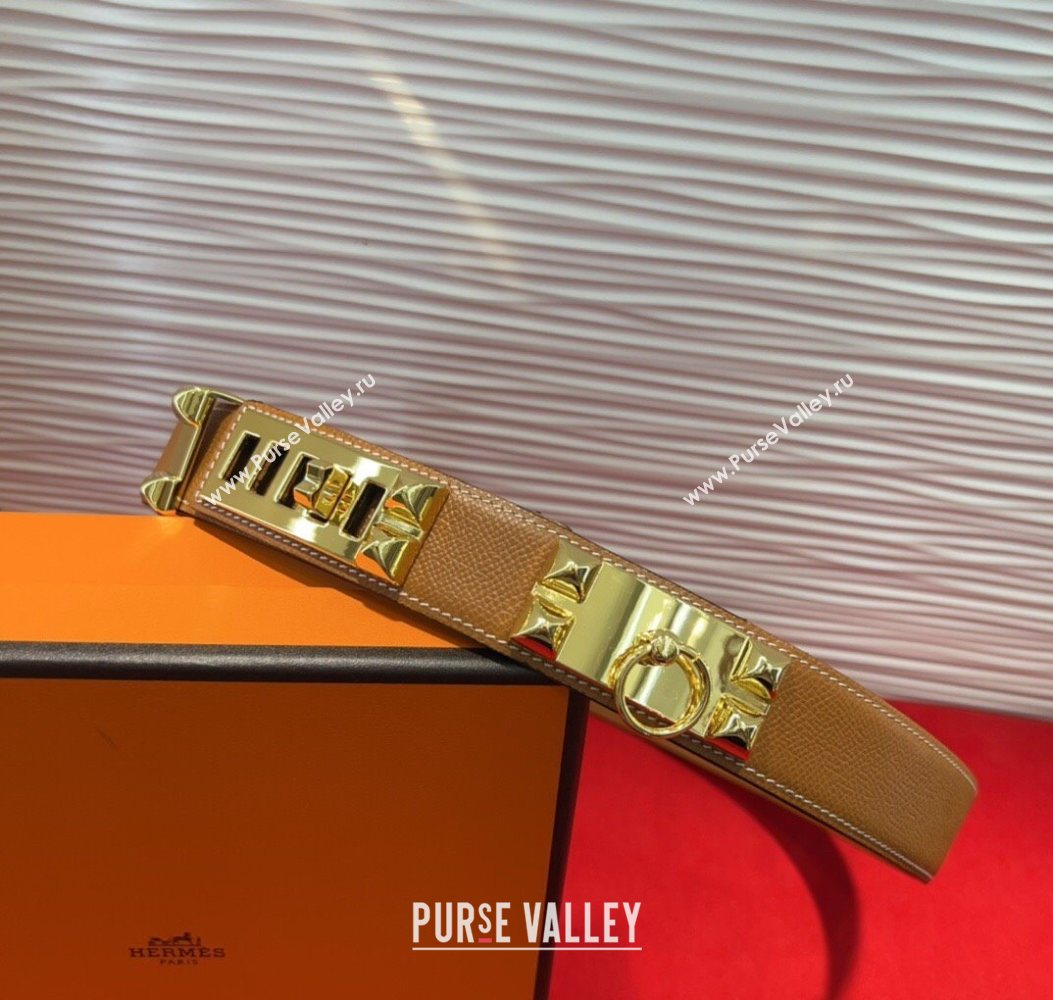 Hermes Collier de Chien Belt 3.2cm with Medor Studs and Ring Buckle in Grained Calfskin Brown/Gold 2025 H2018025 (99-250725006)
