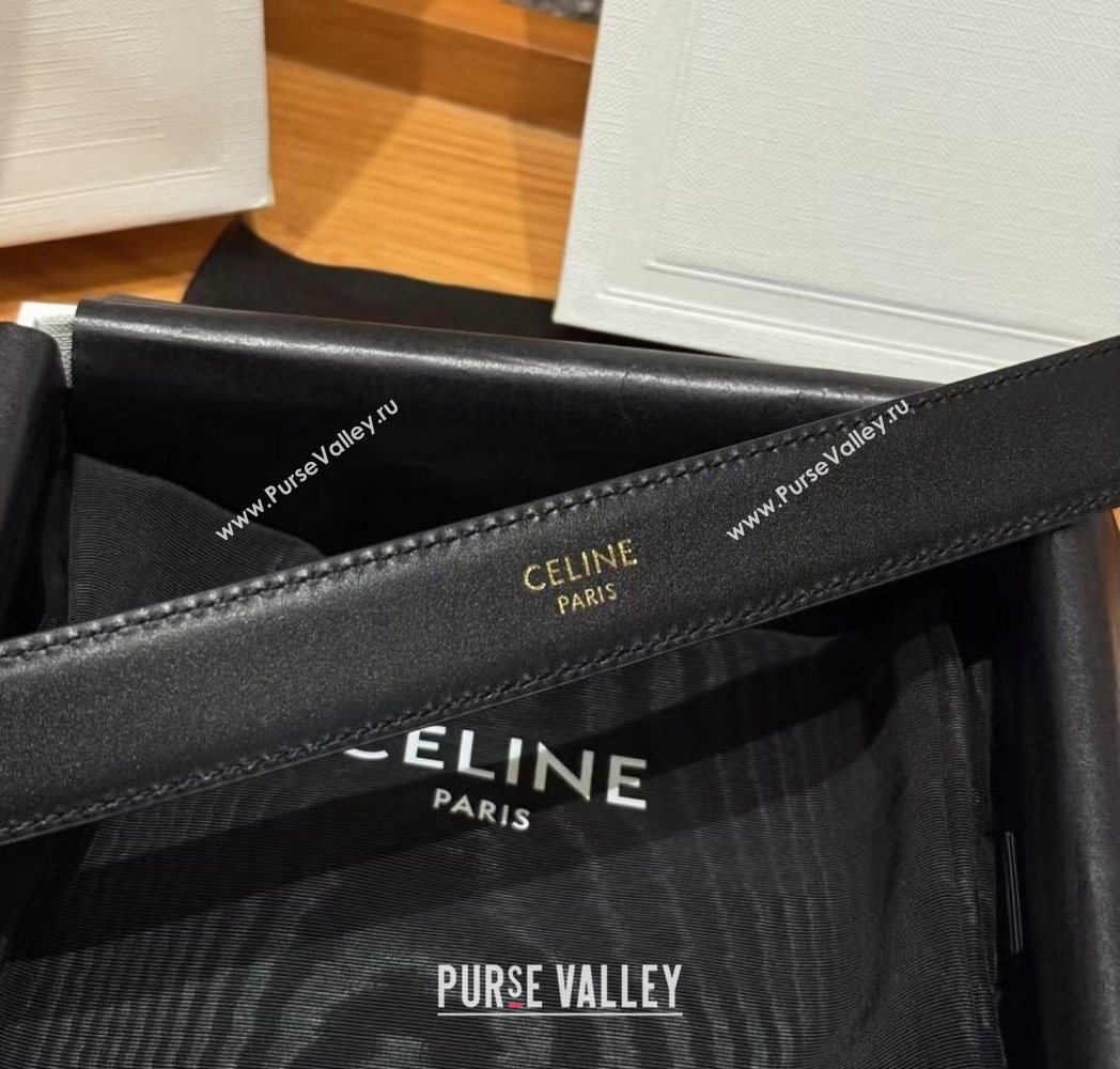 Celine Calfskin Leather Belt 2.5cm with Pin Buckle Black 2025 CE091105 (99-250911126)