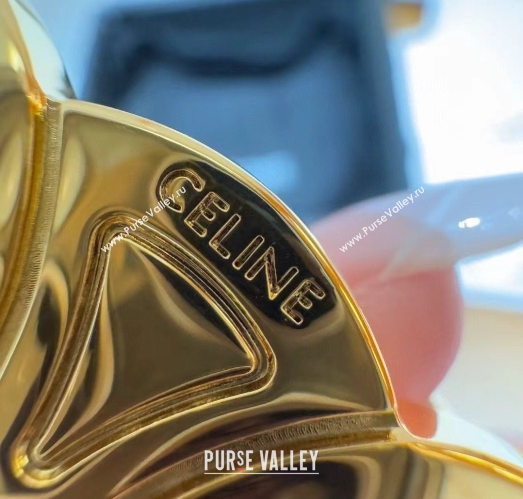 Celine Triomphe Supple Calfskin Leather Belt 1.8cm Dark Brown 2025 0911 (99-250911091)