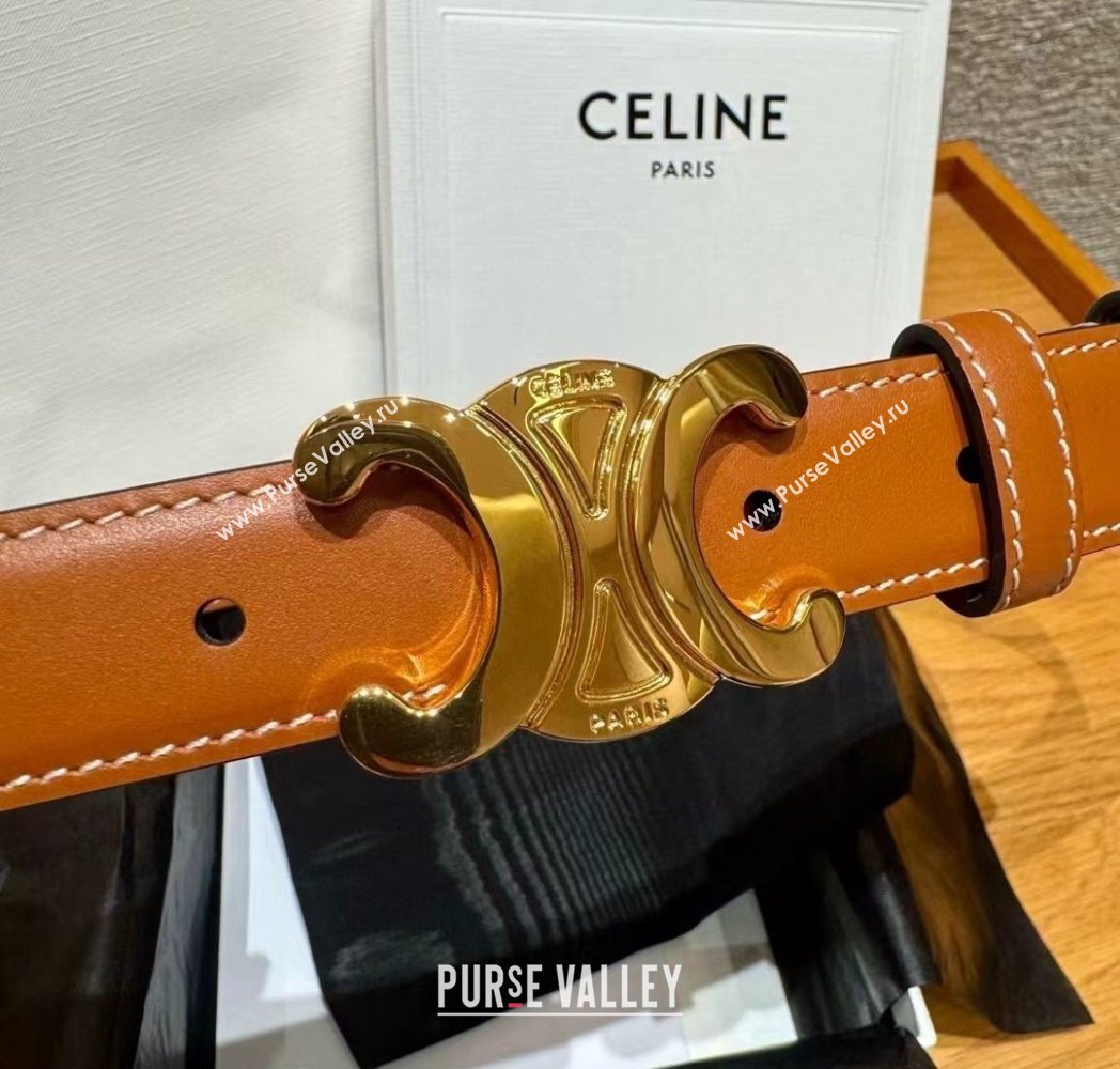 Celine Triomphe Supple Calfskin Leather Belt 2.5cm Brown 2025 0911 (99-250911096)
