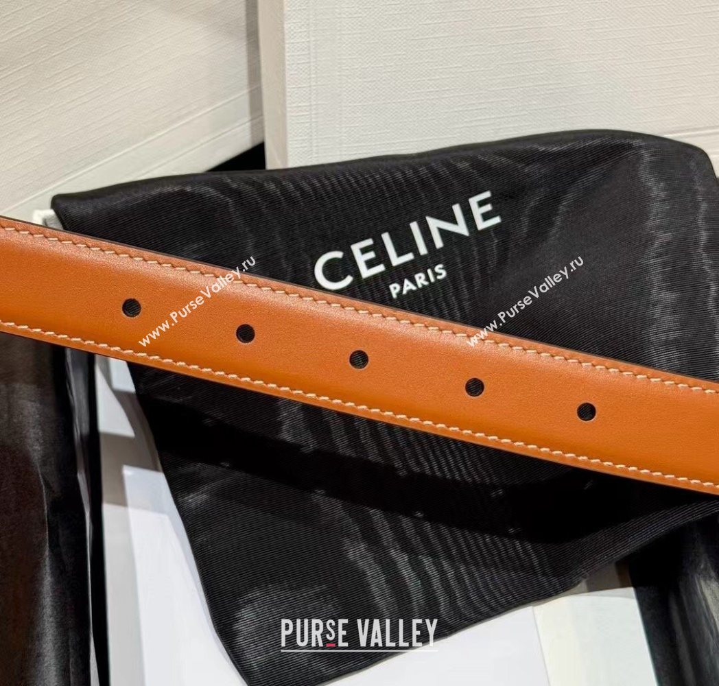 Celine Triomphe Supple Calfskin Leather Belt 2.5cm Brown 2025 0911 (99-250911096)