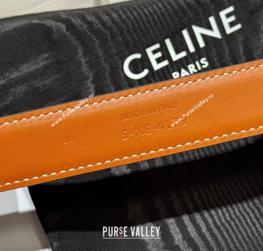 Celine Triomphe Supple Calfskin Leather Belt 2.5cm Brown 2025 0911 (99-250911096)