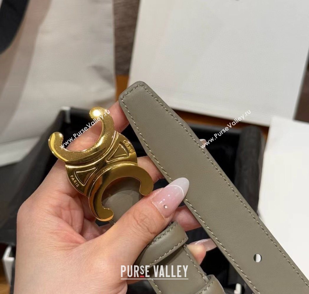 Celine Triomphe Supple Calfskin Leather Belt 2.5cm Green 2025 0911 (99-250911095)