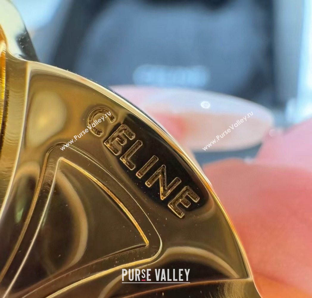 Celine Triomphe Supple Calfskin Leather Belt 2.5cm Green 2025 0911 (99-250911095)