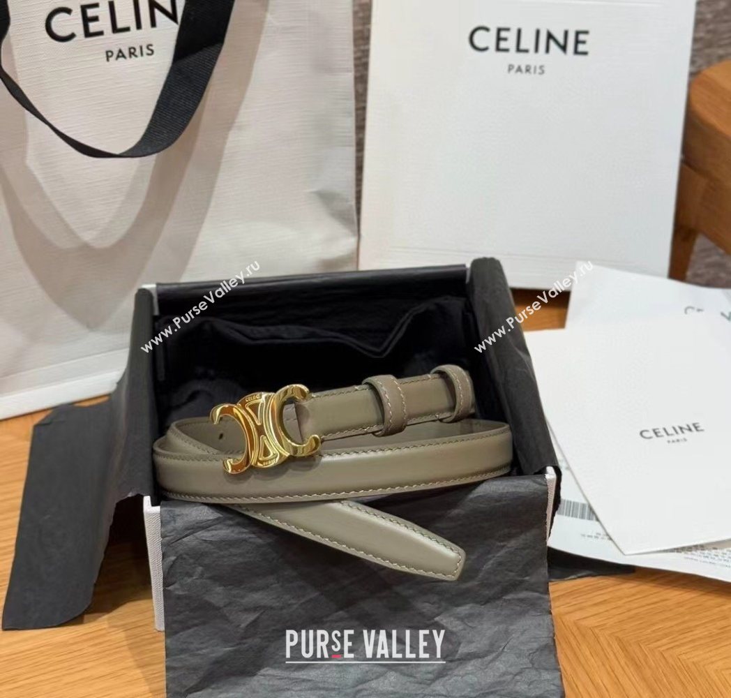 Celine Triomphe Supple Calfskin Leather Belt 1.8cm Green 2025 0911 (99-250911092)