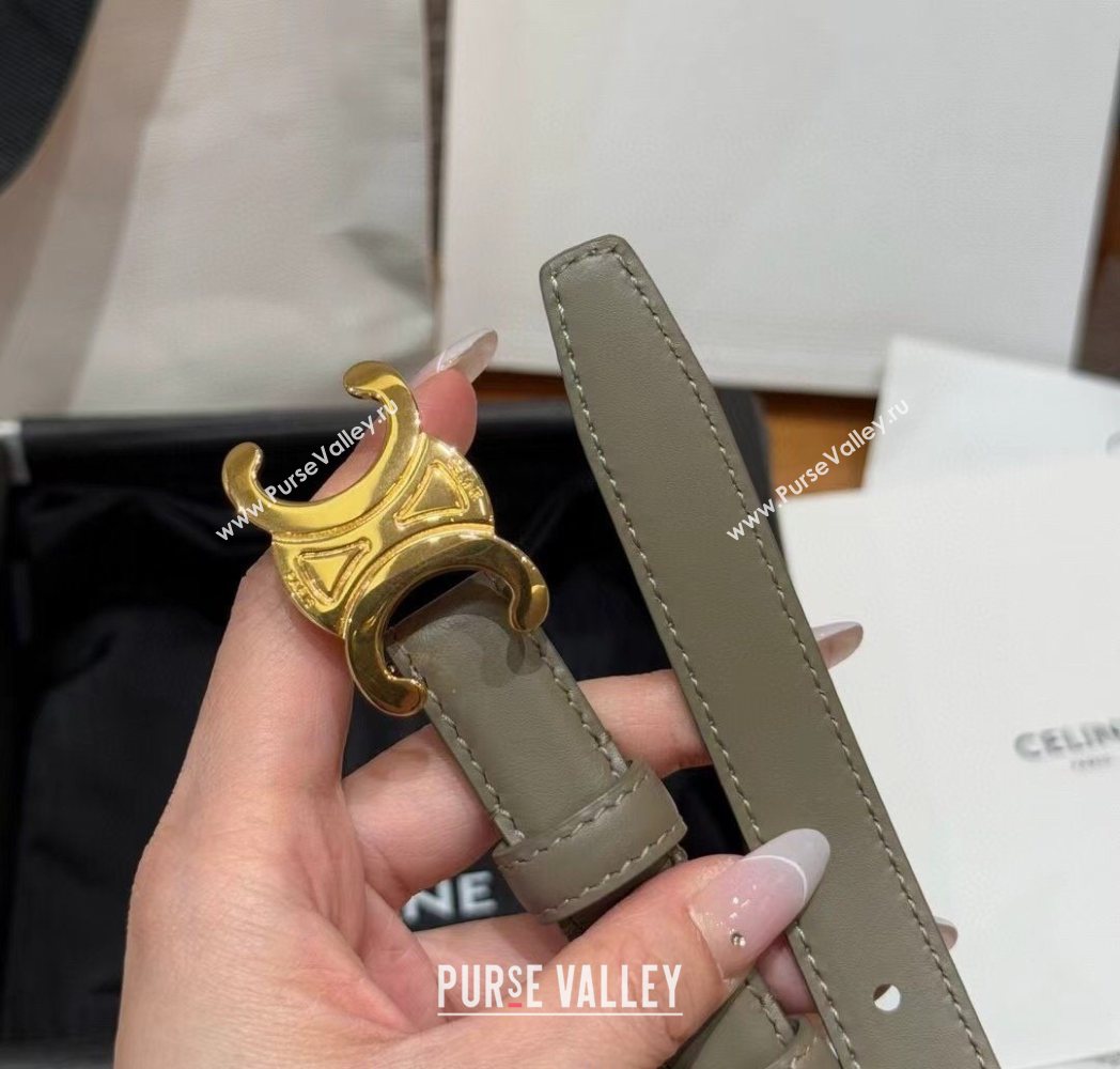 Celine Triomphe Supple Calfskin Leather Belt 1.8cm Green 2025 0911 (99-250911092)