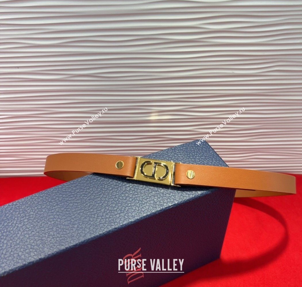 Dior 30 Montaigne Treasure Belt 2cm in Calfskin Leather Brown 2025 DR091201 (99-250912050)
