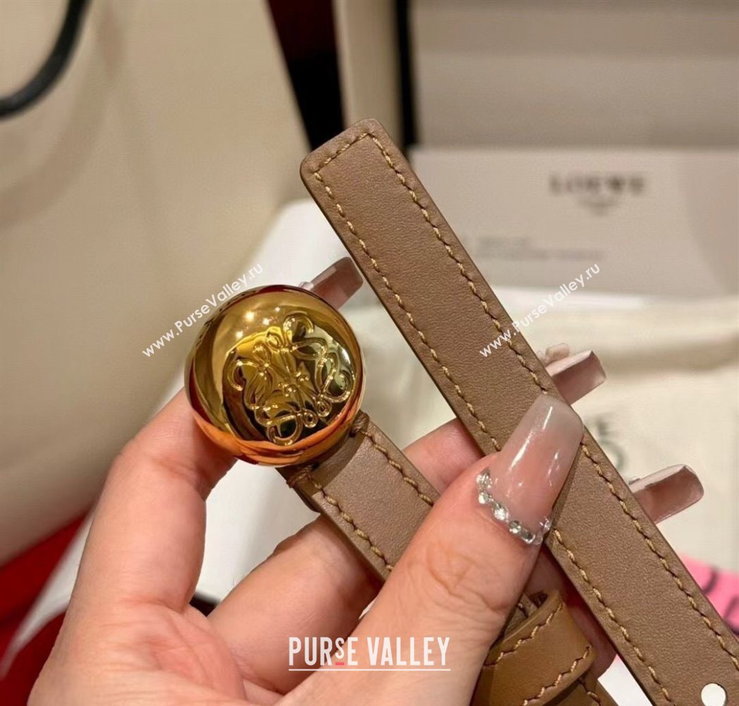 Loewe Pebble Belt 1.5cm in Smooth Leather Beige/Gold 2025 LW091201 (99-250912055)