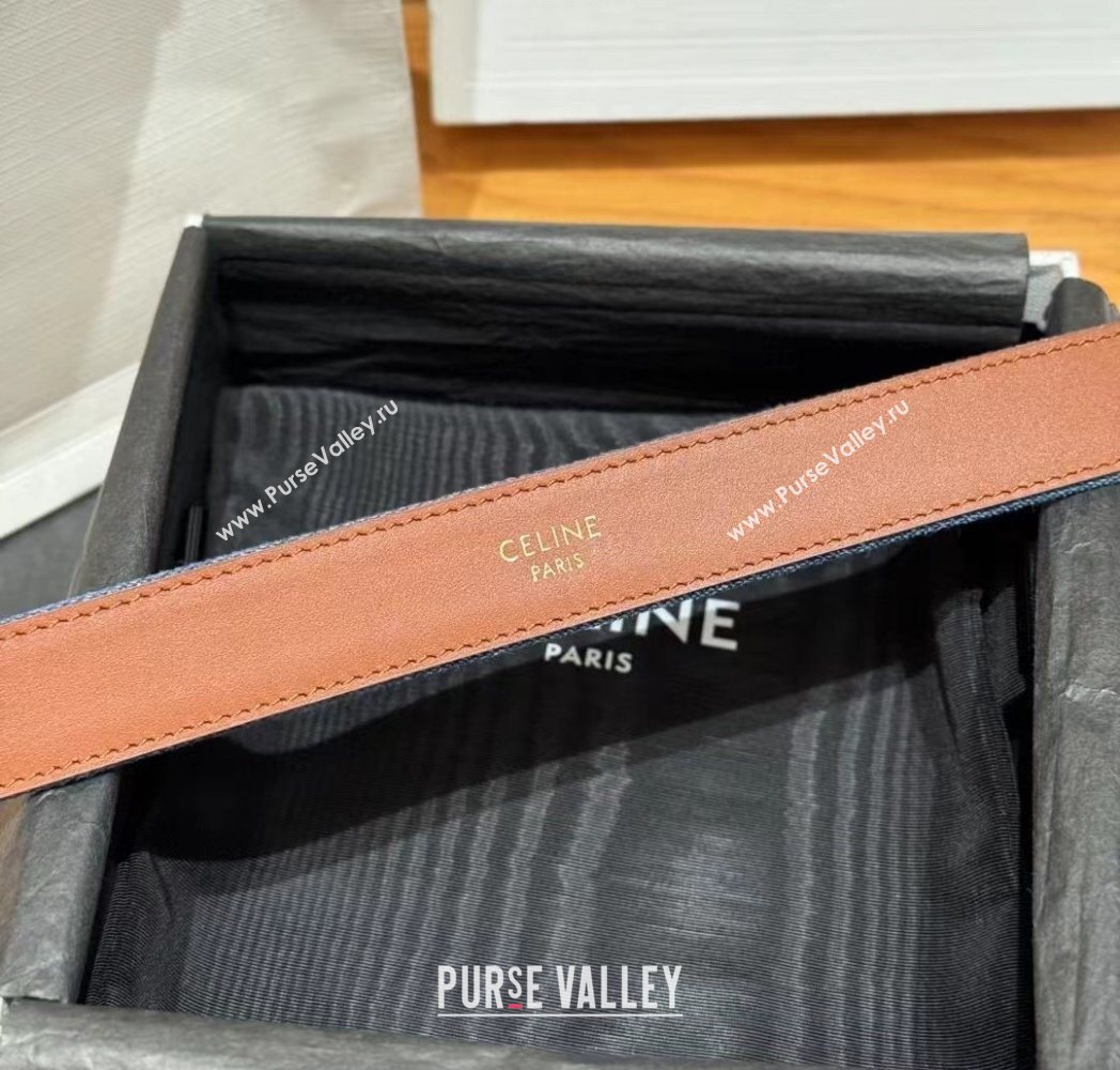 Celine Denim and Leather Belt 2.5cm with Triomphe Buckle Blue/Brown/Gold 2025 CE0911099 (99-250911103)