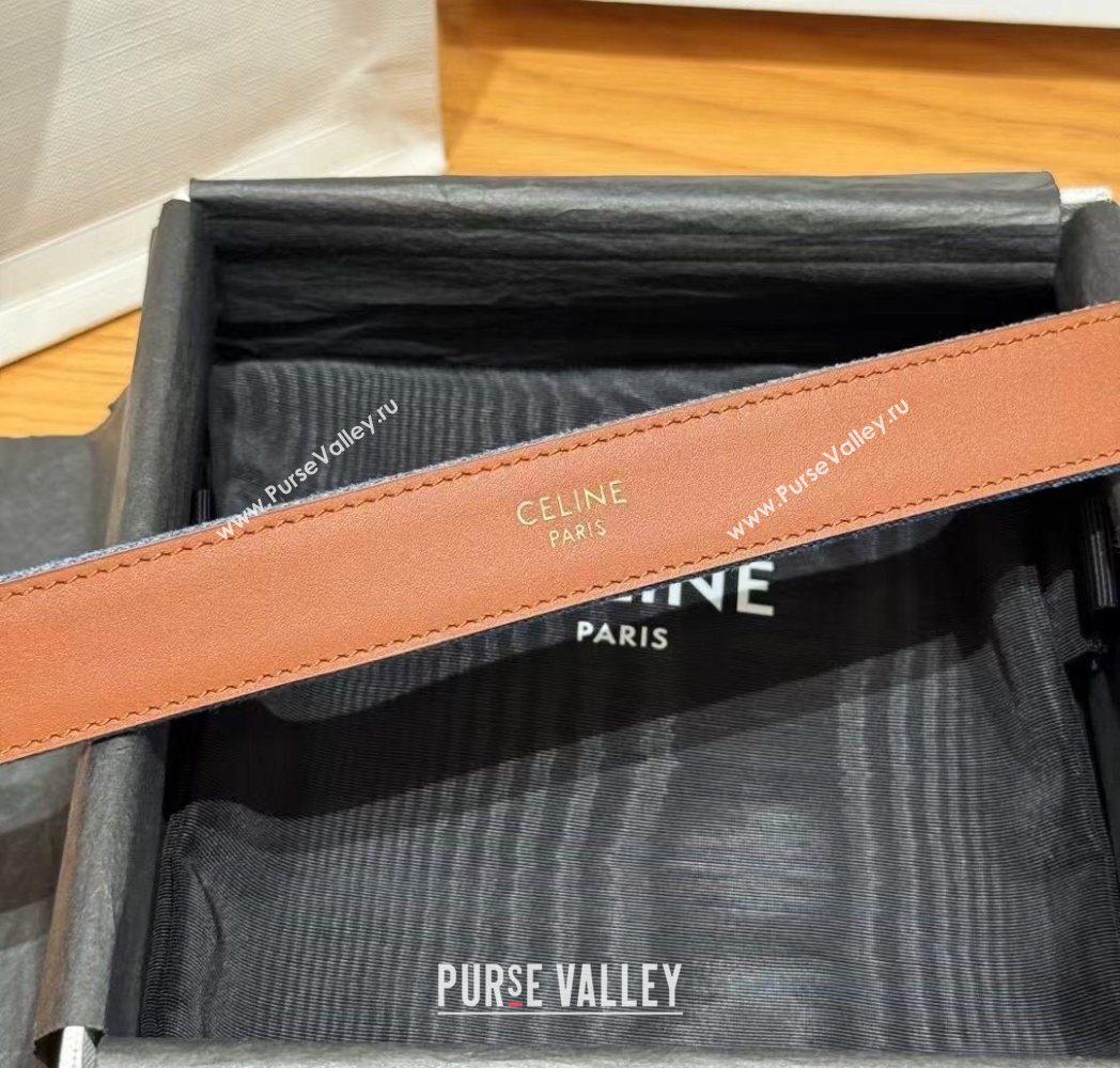 Celine Denim and Leather Belt 2.5cm with Triomphe Buckle Blue/Brown/Silver 2025 CE0911099 (99-250911104)