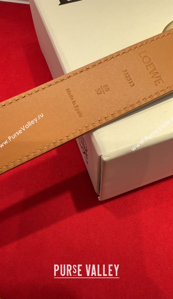 Loewe Grained Calfskin Belt 3.2cm with Square Buckle Green/Silver 2025 LW091203 (99-250912067)