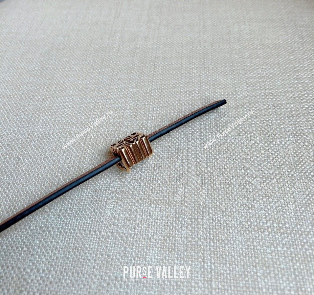 Loewe Anagram Belt 1cm in Smooth Calfskin Leather Brown/Gold 2025 LW091206 (99-250912085)