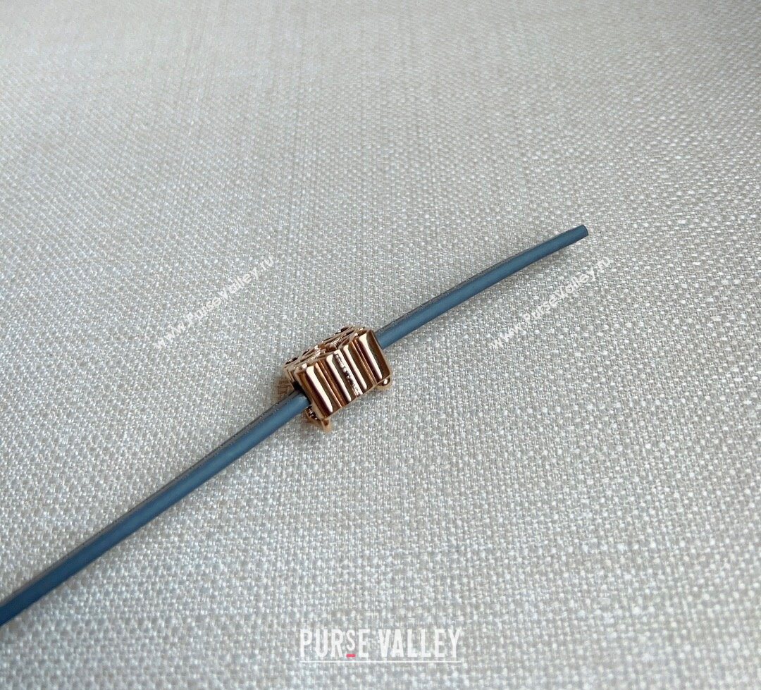 Loewe Anagram Belt 1cm in Smooth Calfskin Leather Grey/Gold 2025 LW091206 (99-250912091)