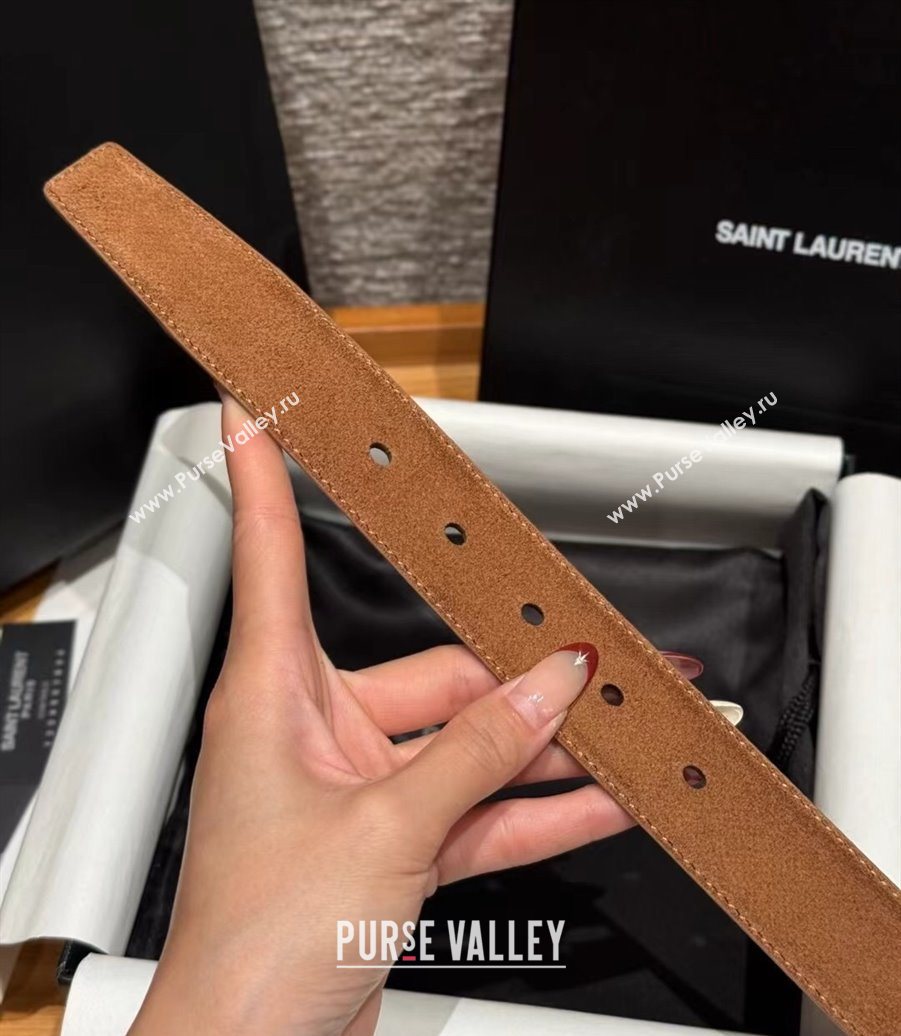 Saint Laurent Cassandre Belt 3cm in Suede and Leather Light Brown 2025 YSL26010401 (99-260104094)