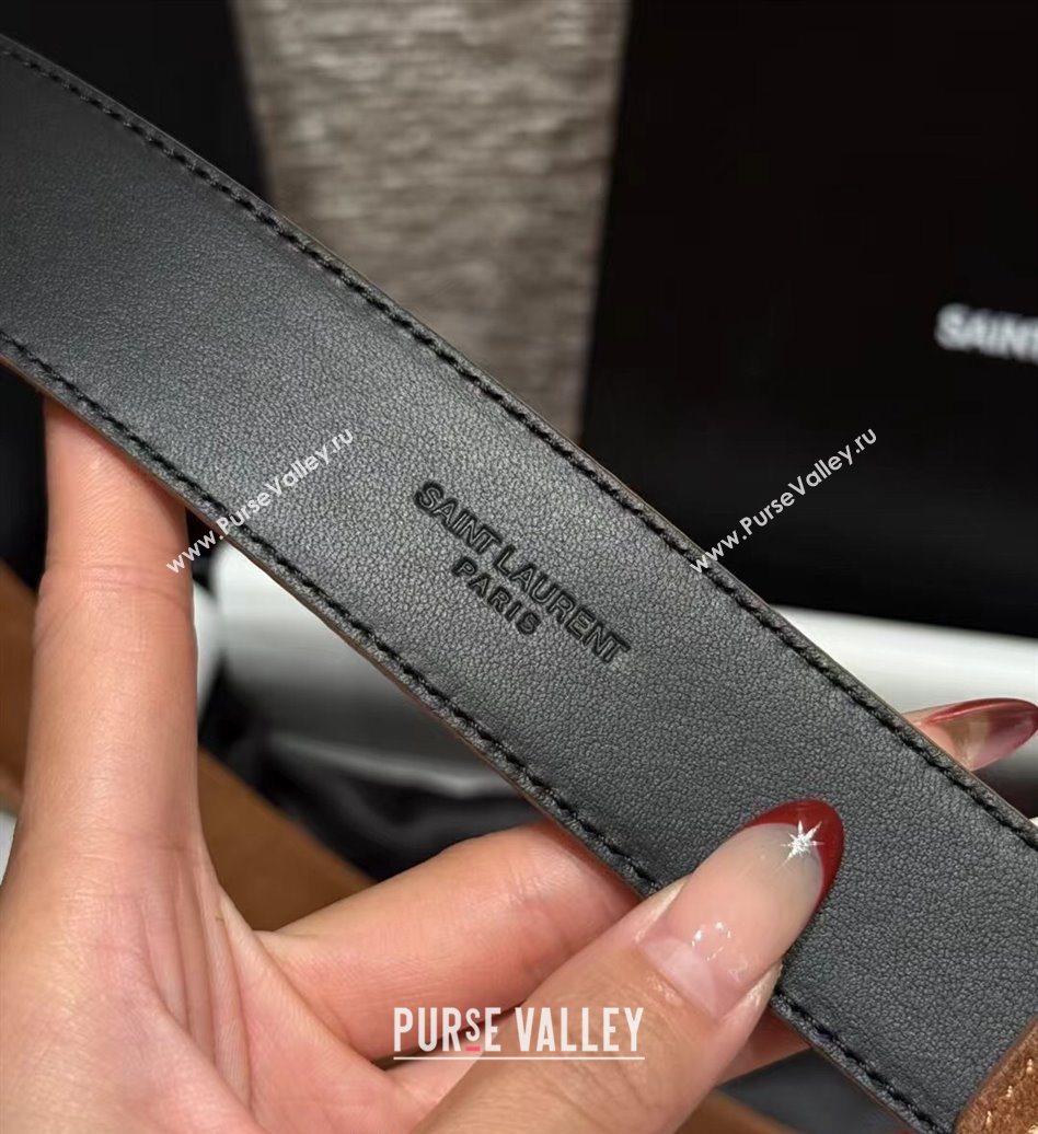 Saint Laurent Cassandre Belt 3cm in Suede and Leather Light Brown 2025 YSL26010401 (99-260104094)