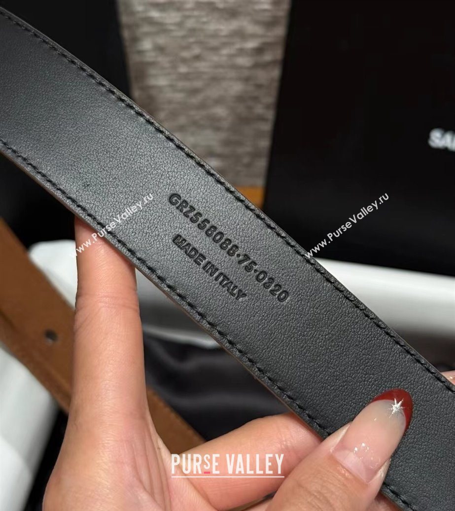 Saint Laurent Cassandre Belt 3cm in Suede and Leather Light Brown 2025 YSL26010401 (99-260104094)