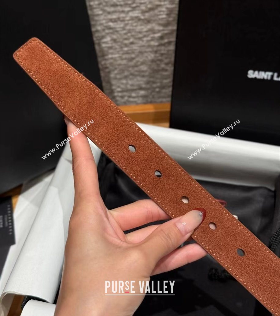Saint Laurent Cassandre Belt 3cm in Suede and Leather Brown2 2025 YSL26010401 (99-260104096)