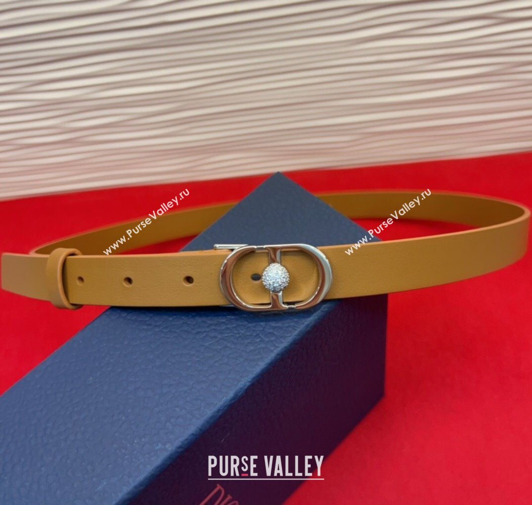 Dior Calfskin Leather Belt 2cm with Strass CD Buckle Brown/Silver 2025 1231 (99-251231150)