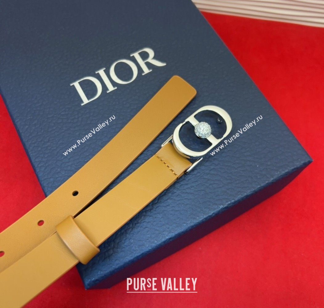 Dior Calfskin Leather Belt 2cm with Strass CD Buckle Brown/Silver 2025 1231 (99-251231150)