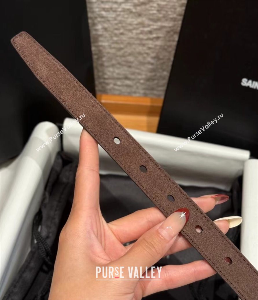 Saint Laurent Cassandre Belt 2cm in Suede and Leather Dark Brown/Silver 2025 YSL26010401 (99-260104085)
