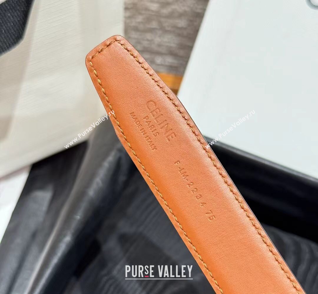 Celine Disc Belt 2.5cm taurillon Leather Black/Brown 2026 B100L6ATZ (99-260316063)